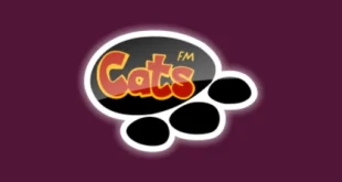 Cats FM - radioonline.one
